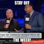 Stay off the weed! | STAY OFF; THE WEED! | image tagged in stay off the weed | made w/ Imgflip meme maker