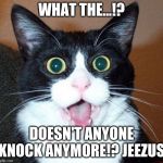 Suprised-cat | WHAT THE...!? DOESN'T ANYONE KNOCK ANYMORE!? JEEZUS | image tagged in suprised-cat | made w/ Imgflip meme maker