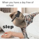 Sleep Meme Man