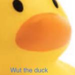 Wut the duck