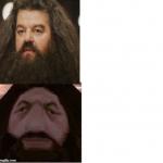 Hagrid Comparison meme