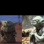Baby Yoda Old YOda