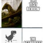 School life | THE TEST REVIEW; THE ACTUAL TEST | image tagged in comparison | made w/ Imgflip meme maker