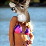 Timiddeer Bikini