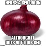 Red onion | HERE'S A RED ONION; ALTHOUGH IT DOES NOT LOOK RED | image tagged in red onion | made w/ Imgflip meme maker