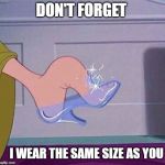 Cinderella shoe | DON'T FORGET I WEAR THE SAME SIZE AS YOU | image tagged in cinderella shoe | made w/ Imgflip meme maker