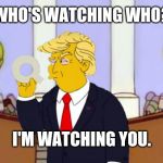 Futurama Thru the Looking Glass | WHO'S WATCHING WHO? I'M WATCHING YOU. | image tagged in trump simpsons,qanon,back to the future,what are you looking at,futurama,the great awakening | made w/ Imgflip meme maker