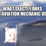 Kool Cat | WHAT EXACTLY DOES AN AVIATION MECHANIC DO? | image tagged in kool cat | made w/ Imgflip meme maker