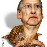 Turtle Mitch Crying