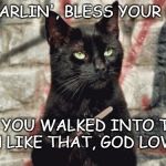 cat filing nails | POOR DARLIN', BLESS YOUR HEART. I HATE YOU WALKED INTO THAT SCREEN LIKE THAT, GOD LOVE YA. | image tagged in cat filing nails | made w/ Imgflip meme maker