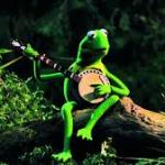 Kermit The Frog meme
