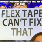 flex tape can't fix that | WHEN YOUR FAVORITE FOSTER DOG GETS ADOPTED AND A NEW ONE COMES
MY HEART: | image tagged in flex tape can't fix that | made w/ Imgflip meme maker