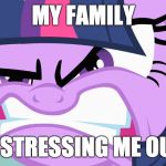 Everything they say gets on my nerves! | MY FAMILY; IS STRESSING ME OUT! | image tagged in angry twilight,memes,angry,family,stress | made w/ Imgflip meme maker