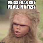 Chaka 2020 | MEGXIT HAS GOT ME ALL IN A TIZZY | image tagged in chaka,megxit | made w/ Imgflip meme maker