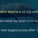 blue whale vagina meme