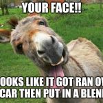 Laughing Donkey | YOUR FACE!! IT LOOKS LIKE IT GOT RAN OVER BY A CAR THEN PUT IN A BLENDER!! | image tagged in laughing donkey | made w/ Imgflip meme maker