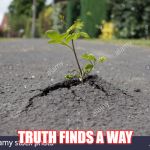 As with life, truth finds a way | TRUTH FINDS A WAY | image tagged in as with life truth finds a way | made w/ Imgflip meme maker