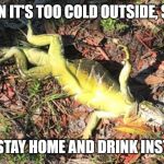 Frozen iguana | WHEN IT'S TOO COLD OUTSIDE, SO . . . YOU STAY HOME AND DRINK INSTEAD. | image tagged in frozen iguana | made w/ Imgflip meme maker