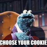 Cookie monster | CHOOSE YOUR COOKIE | image tagged in cookie monster | made w/ Imgflip meme maker