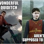 Quiditch: Doing Nothing | WHAT A WONDERFUL GAME OF QUIDITCH; AREN'T YOU SUPPOSED TO BE PLAYING? | image tagged in quiditch doing nothing | made w/ Imgflip meme maker