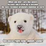 Polar bear cub | When you don't care that nature dictates you'll grow up to become the most ravenous predatory mammal on earth; because right now...mmm, snow! | image tagged in baby polar bear,cute animals,polar bear cub | made w/ Imgflip meme maker