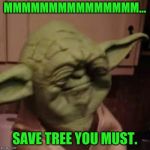 Yoda MMMMMM | MMMMMMMMMMMMMMM... SAVE TREE YOU MUST. | image tagged in yoda mmmmmm | made w/ Imgflip meme maker