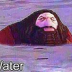 water meme ps1 hagrid