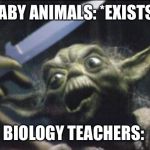 Yoda Knife | BABY ANIMALS: *EXISTS*; BIOLOGY TEACHERS: | image tagged in yoda knife | made w/ Imgflip meme maker