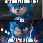 new sonic movie | WHAT YOU ACTUALLY LOOK LIKE; VS; WHAT YOU THINK YOU LOOK LIKE | image tagged in new sonic movie,epic | made w/ Imgflip meme maker