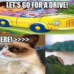 grumpy cat and dora | LET'S GO FOR A DRIVE! OFF HERE! >>>> | image tagged in grumpy cat meme of 2020,ripgrumpycat,dora the explorer,grumpy cat | made w/ Imgflip meme maker