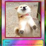 ... meme