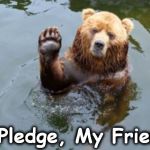 salue | I Pledge, My Friend | image tagged in salue | made w/ Imgflip meme maker