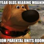 Dug the dog | 6 YEAR OLDS HEARING MOANING; FROM PARENTAL UNITS ROOMS | image tagged in dug the dog | made w/ Imgflip meme maker
