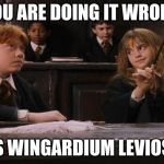 Hermione | YOU ARE DOING IT WRONG; ITS WINGARDIUM LEVIOSA | image tagged in hermione | made w/ Imgflip meme maker