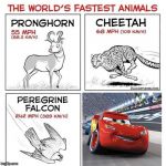 The world's fastest animals | image tagged in the world's fastest animals | made w/ Imgflip meme maker