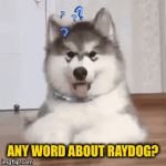 Where has our hound dog done? | ANY WORD ABOUT RAYDOG? | image tagged in gifs,raydog | made w/ Imgflip video-to-gif maker