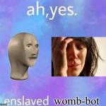 Ah yes enslaved womb-bot