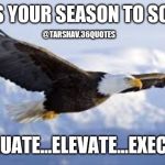 Soaring eagle | IT'S YOUR SEASON TO SOAR; @TARSHAV.36QUOTES; EVALUATE...ELEVATE...EXECUTE! | image tagged in soaring eagle | made w/ Imgflip meme maker