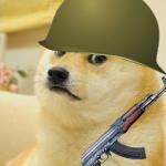 MILITARY DOGE