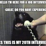 Yes this is dog | -HELLO I'M HERE FOR A JOB INTERVIEW                                                   -GREAT, DO YOU HAVE EXPERIENCE; YES THIS IS MY 20TH INTERVIEW | image tagged in yes this is dog | made w/ Imgflip meme maker