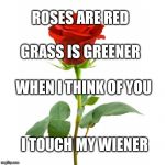 Roses Are Red | ROSES ARE RED; GRASS IS GREENER; WHEN I THINK OF YOU; I TOUCH MY WIENER | image tagged in roses are red | made w/ Imgflip meme maker