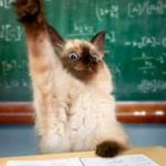 Raised hand cat | ME... SAID NO-ONE EVER | image tagged in raised hand cat | made w/ Imgflip meme maker
