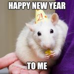 Birthday Rat | HAPPY NEW YEAR; TO ME | image tagged in birthday rat | made w/ Imgflip meme maker