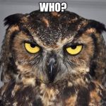 Who? | WHO? | image tagged in angry owl,funny,funny meme,animal meme,memes,funny animal meme | made w/ Imgflip meme maker