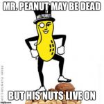 What are you eating? Nuttin’ honey! | MR. PEANUT MAY BE DEAD; BUT HIS NUTS LIVE ON | image tagged in mr peanut,funny memes,advertising,nuts | made w/ Imgflip meme maker