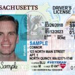 Serial shitters driver's license