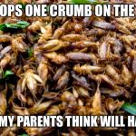 insects¨ | ME:DROPS ONE CRUMB ON THE FLOOR; WHAT MY PARENTS THINK WILL HAPPEN: | image tagged in insects | made w/ Imgflip meme maker