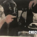 Cats yelling at cat | CHECK PLEASE! | image tagged in cats yelling at cat | made w/ Imgflip meme maker