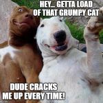 selfie dogs | HEY... GETTA LOAD OF THAT GRUMPY CAT; DUDE CRACKS ME UP EVERY TIME! | image tagged in selfie dogs | made w/ Imgflip meme maker
