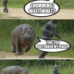 hippo | (HUMMING) WAIT, WHAT? YOU! YOU DISTURBED MY PEACE! NOW YOU'RE GOING TO GET IT! | image tagged in hippo | made w/ Imgflip meme maker